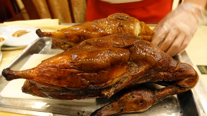 2017-03-29_174511 china-2017.jpg - Peking - Pekingente